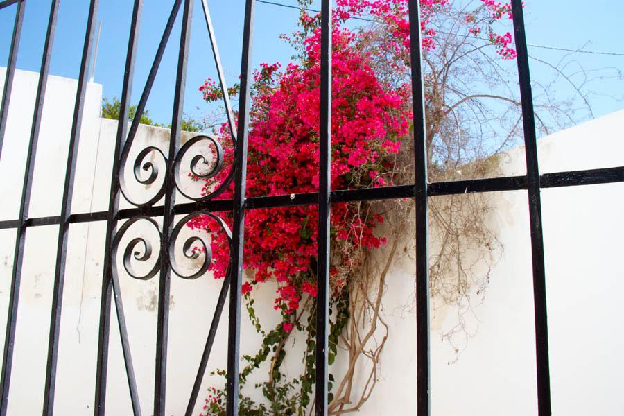 Hotel Mi Casa Antas Chambre photo